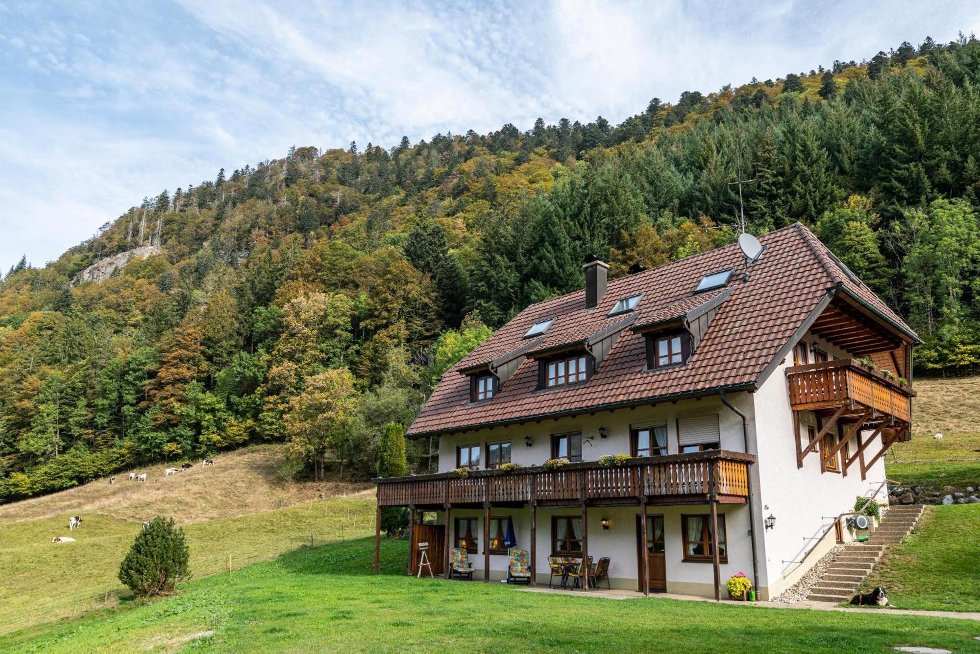 Gasthaus Zur Linde- Napf Oberried  Exterior foto