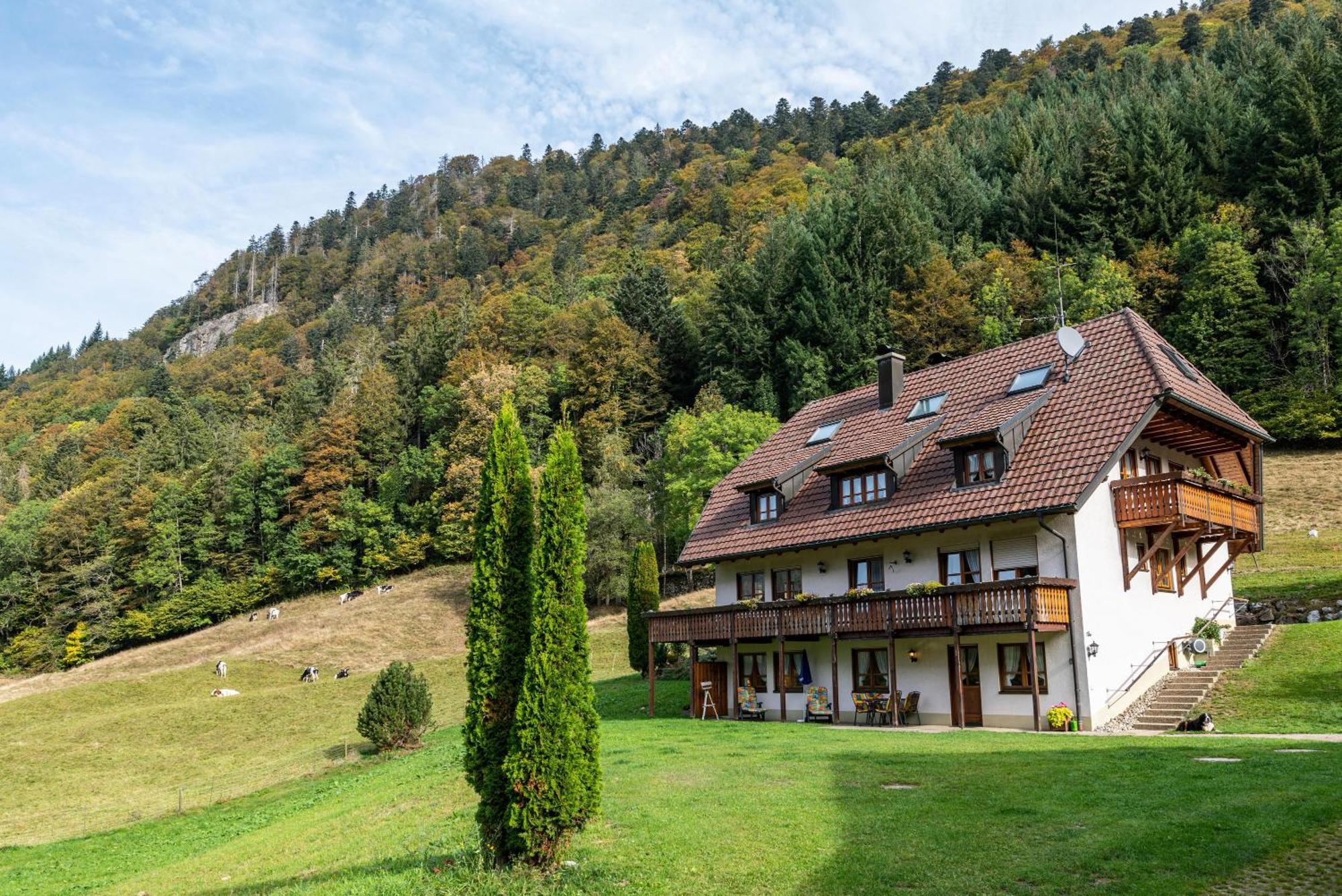 Gasthaus Zur Linde- Napf Oberried  Exterior foto